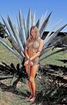 Strawberry Blonde Monica Sweetheart Licks A Handcuff While Out In The Nature
