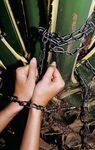 Strawberry Blonde Monica Sweetheart Licks A Handcuff While Out In The Nature